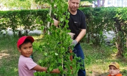 О вас напомнят зелёные деревья